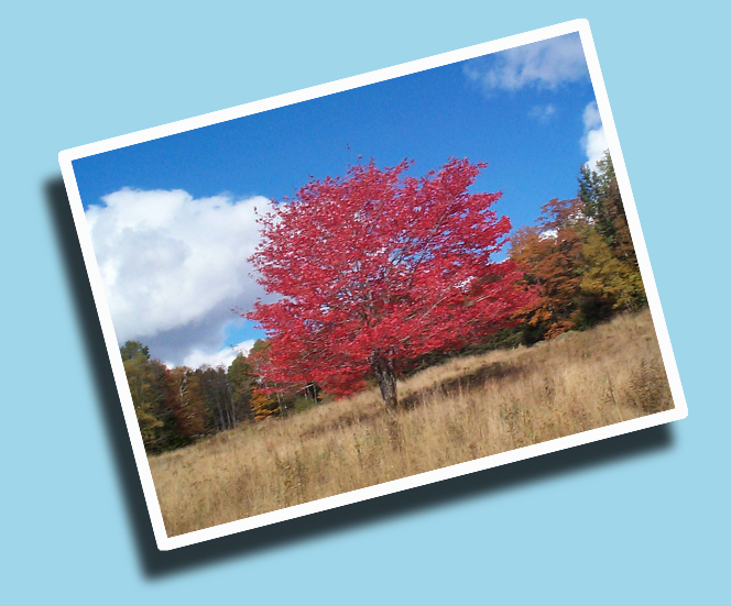 Faire un Cadre photo avec Photoshop Trouvez le tutoriel Faire un Cadre photo avec Photoshop Trouvez le tutoriel