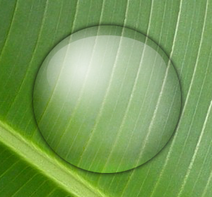 http://www.webdesign-tutoriaux.com/images/resultat-effet-goutte-eau-ps-cristal.png