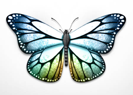 http://www.webdesign-tutoriaux.com/images/resultat-effet-papillon-anneaux-ps.jpg